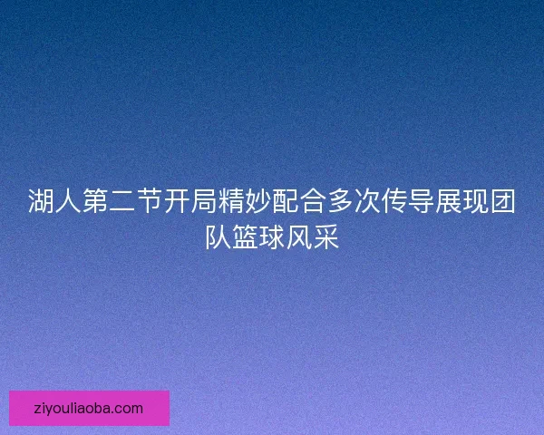湖人第二节开局精妙配合多次传导展现团队篮球风采